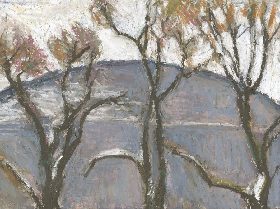 Масляная пастель на бумаге, 28х20 см